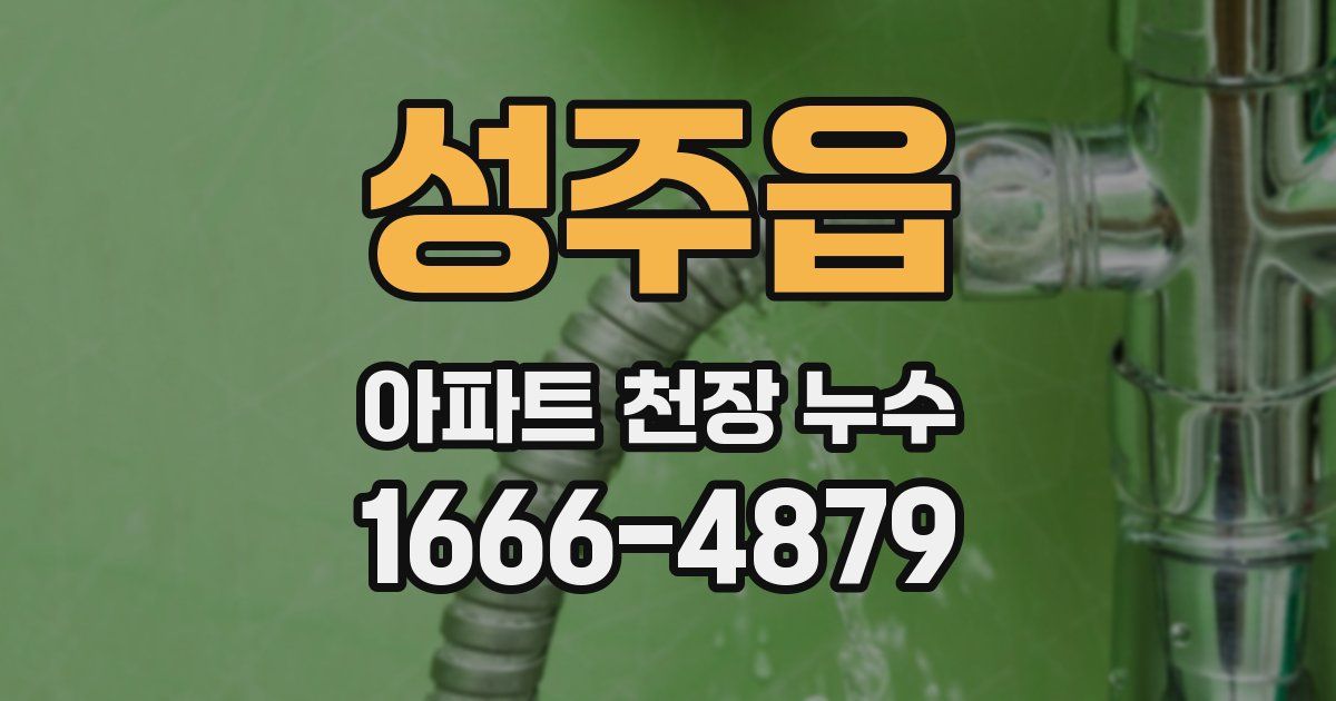 성주읍 아파트 천장 누수