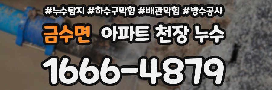 금수면 아파트 천장 누수