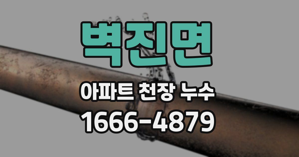 벽진면 아파트 천장 누수