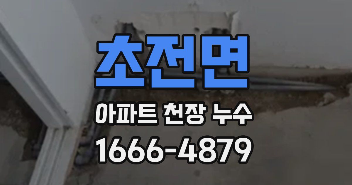 초전면 아파트 천장 누수