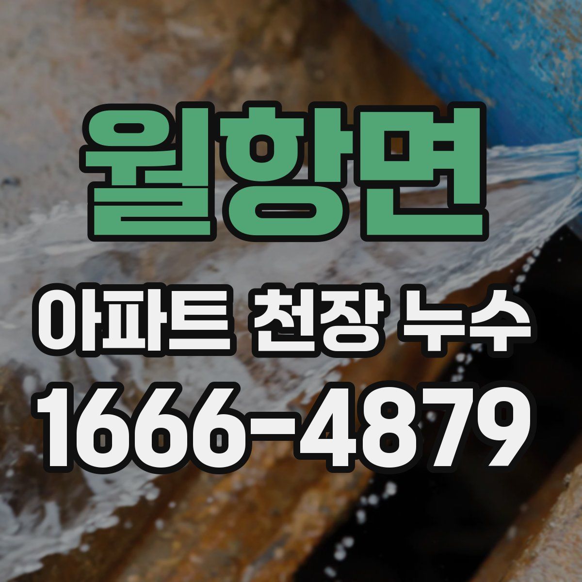 월항면 아파트 천장 누수