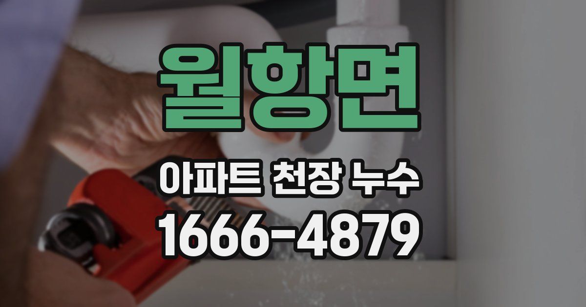 월항면 아파트 천장 누수