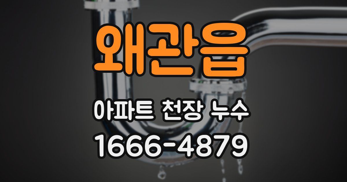 왜관읍 아파트 천장 누수