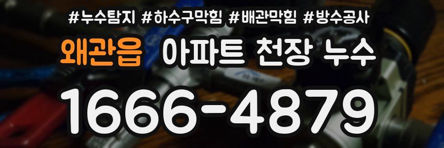 왜관읍 아파트 천장 누수