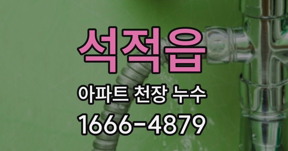 석적읍 아파트 천장 누수