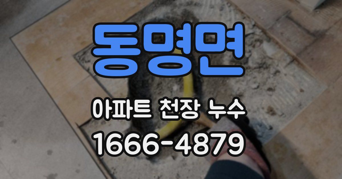 동명면 아파트 천장 누수