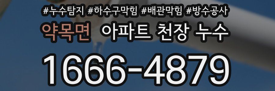 약목면 아파트 천장 누수