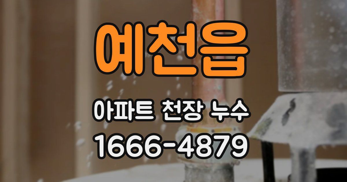 예천읍 아파트 천장 누수