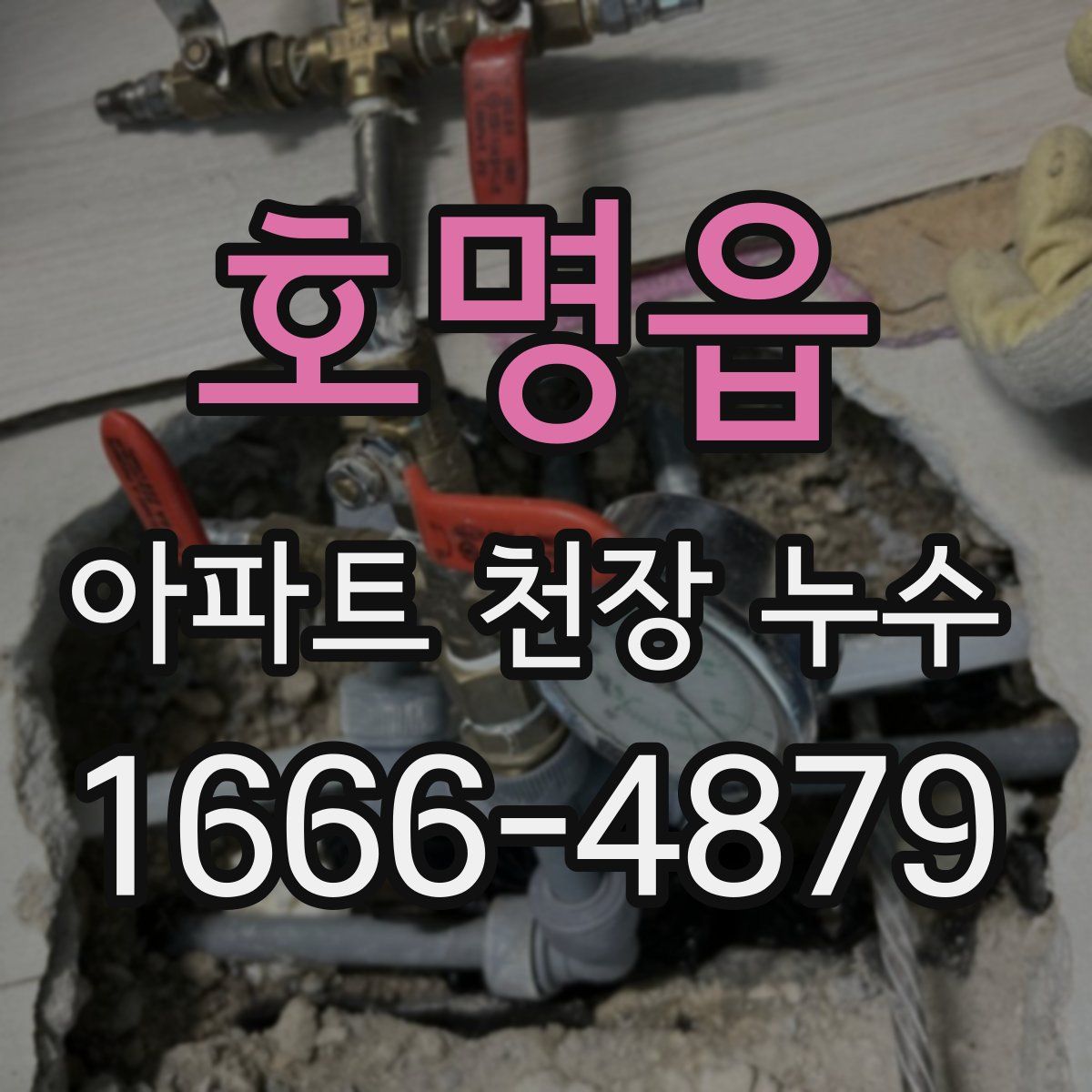 호명읍 아파트 천장 누수