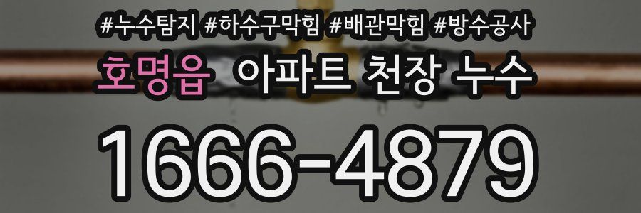 호명읍 아파트 천장 누수
