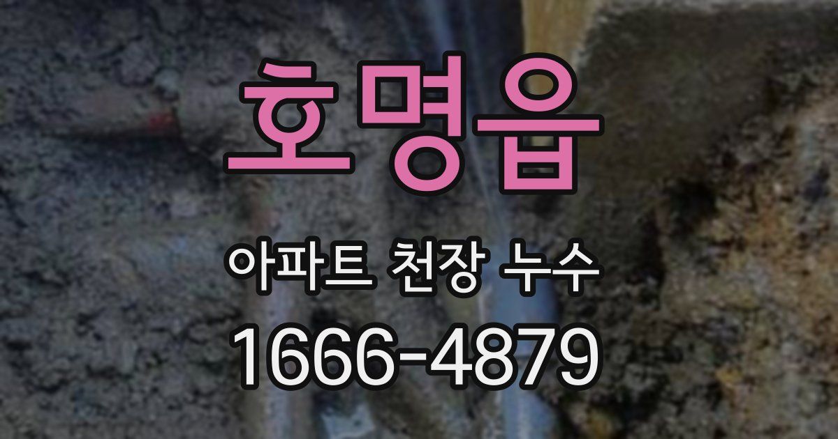 호명읍 아파트 천장 누수