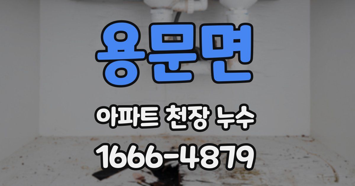 용문면 아파트 천장 누수
