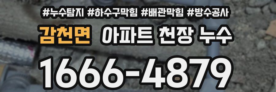 감천면 아파트 천장 누수