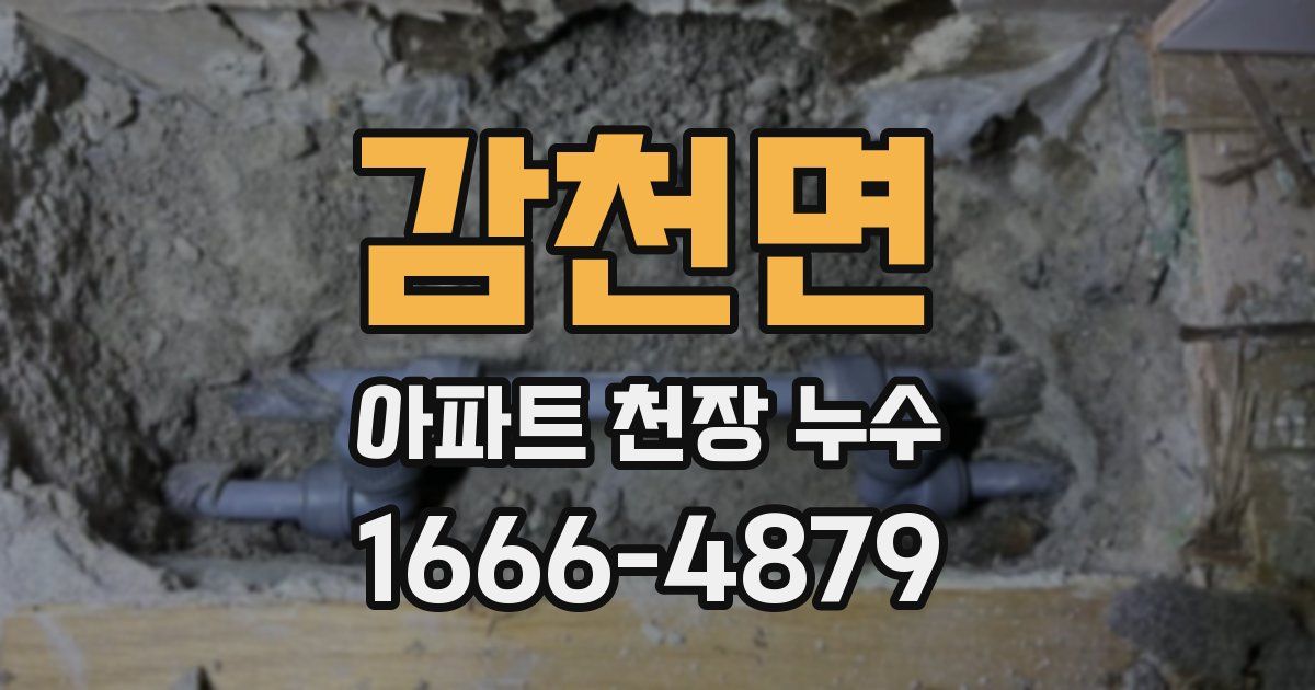감천면 아파트 천장 누수