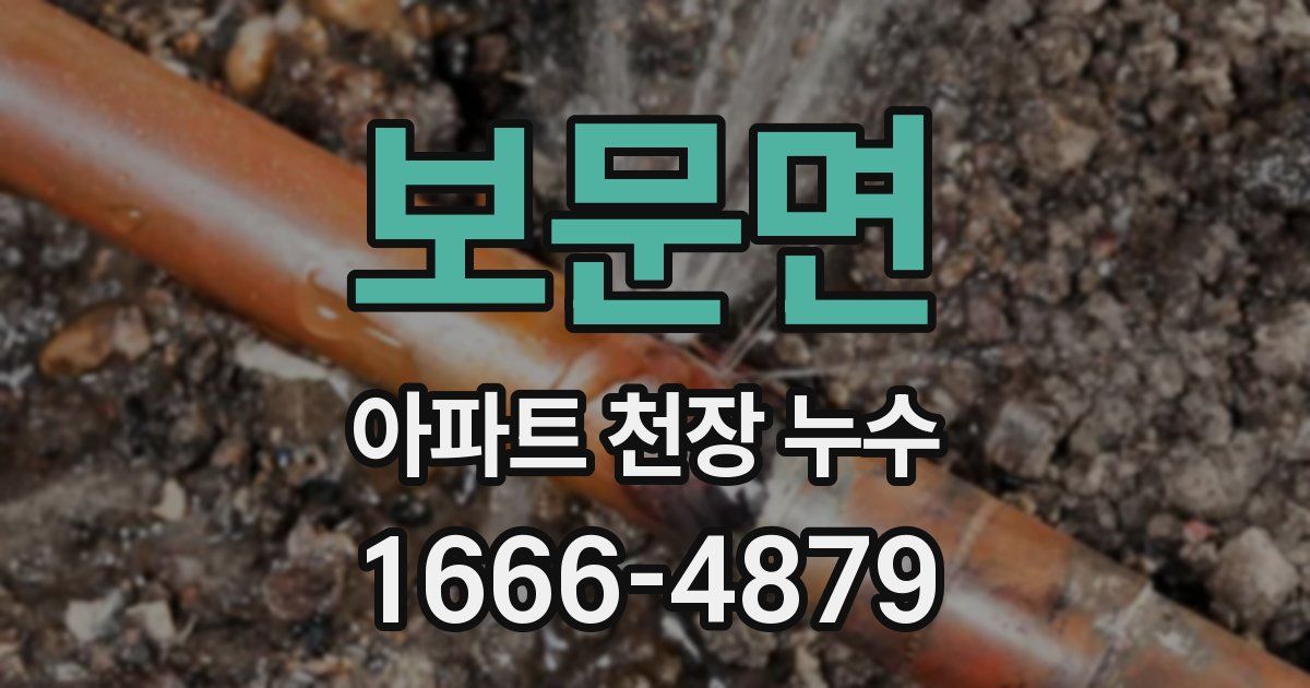 보문면 아파트 천장 누수