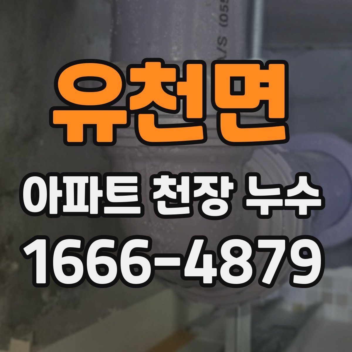 유천면 아파트 천장 누수