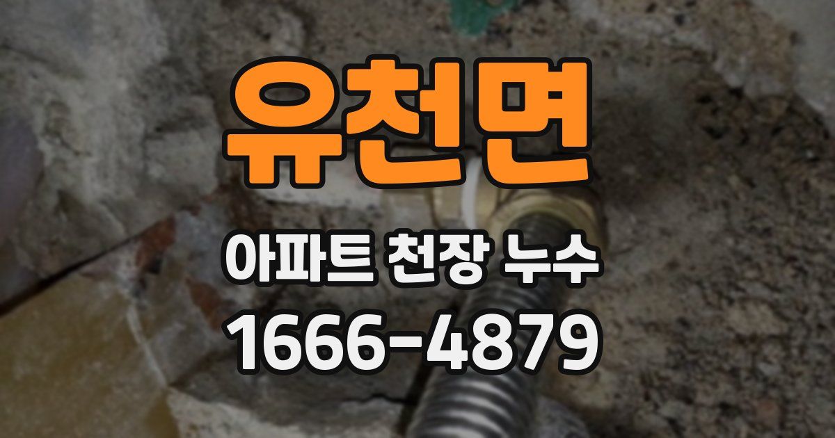 유천면 아파트 천장 누수