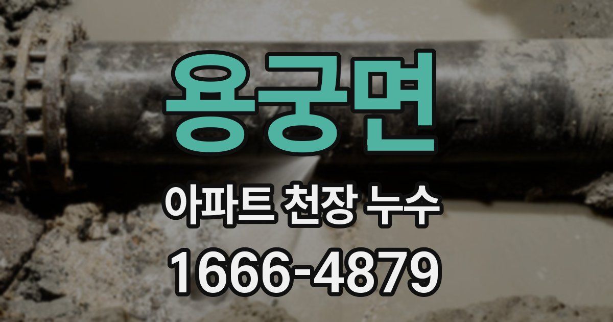 용궁면 아파트 천장 누수