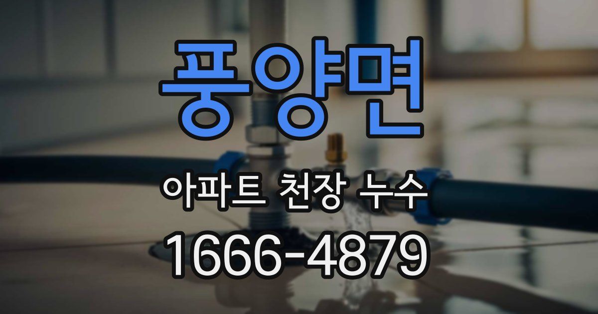 풍양면 아파트 천장 누수