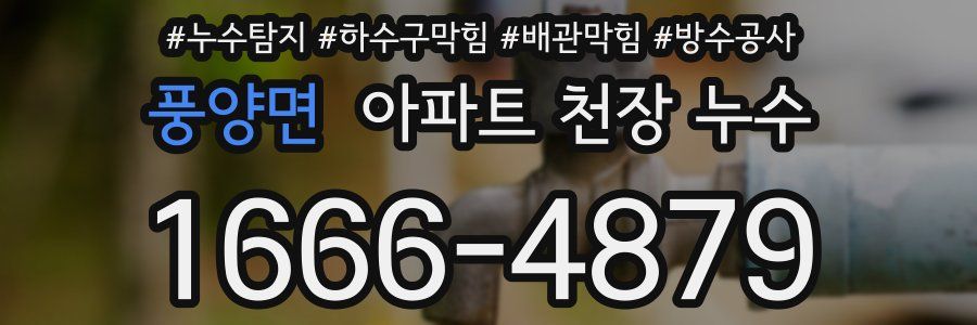 풍양면 아파트 천장 누수