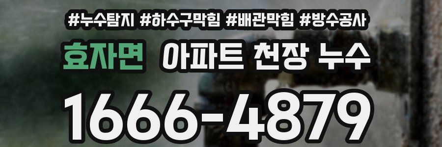 효자면 아파트 천장 누수