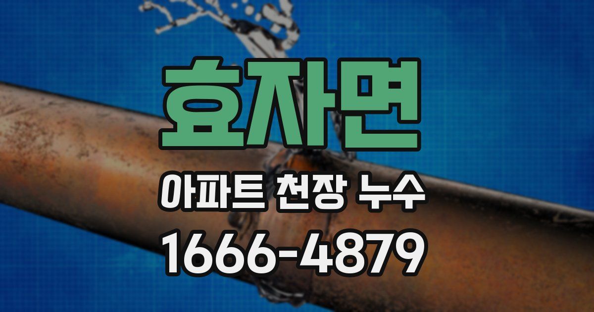 효자면 아파트 천장 누수