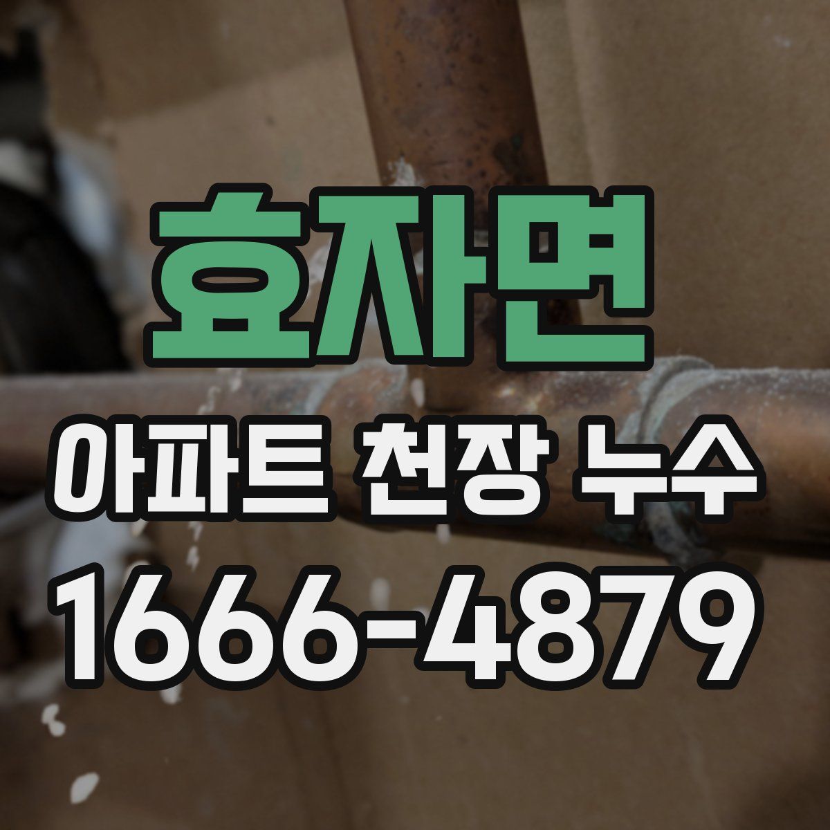 효자면 아파트 천장 누수