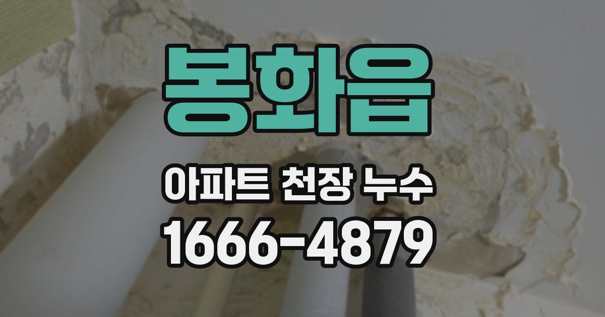 봉화읍 아파트 천장 누수