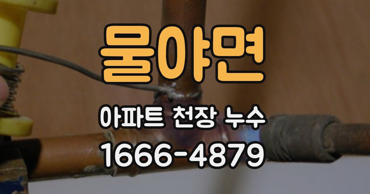 물야면 아파트 천장 누수
