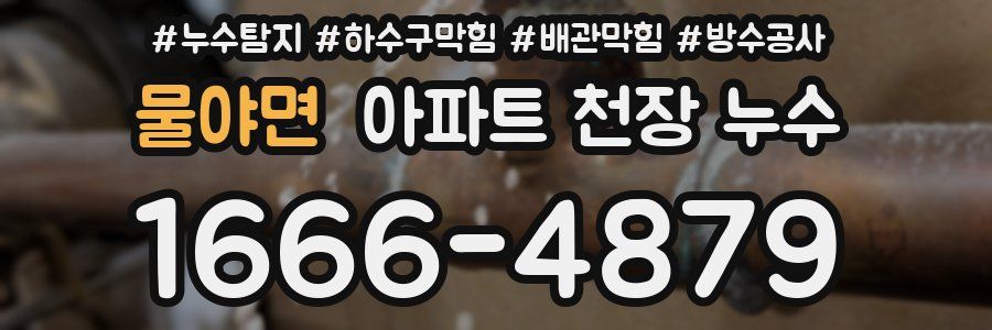 물야면 아파트 천장 누수