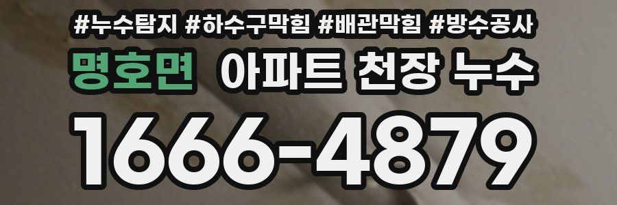 명호면 아파트 천장 누수