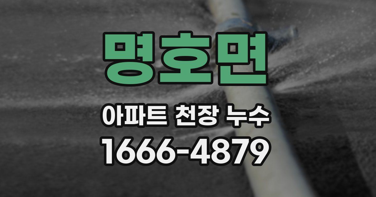 명호면 아파트 천장 누수