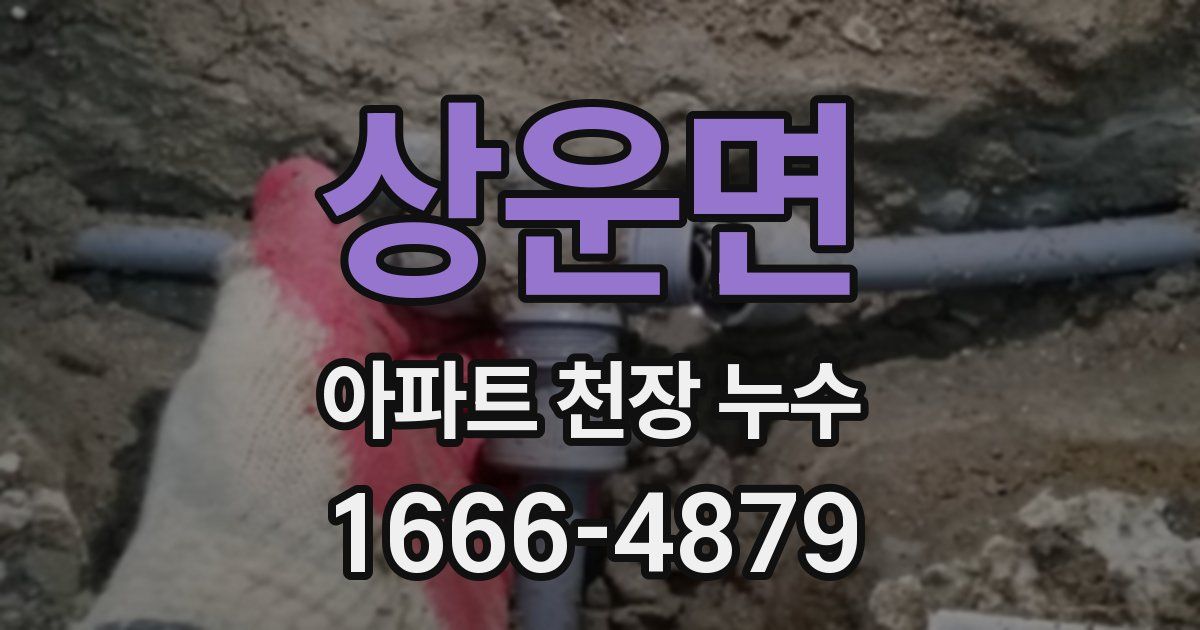 상운면 아파트 천장 누수