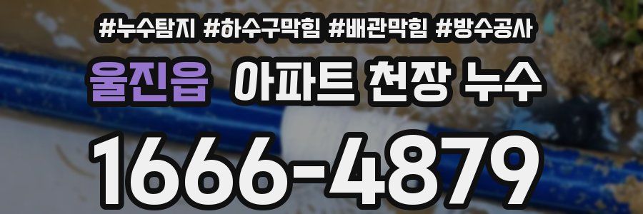 울진읍 아파트 천장 누수