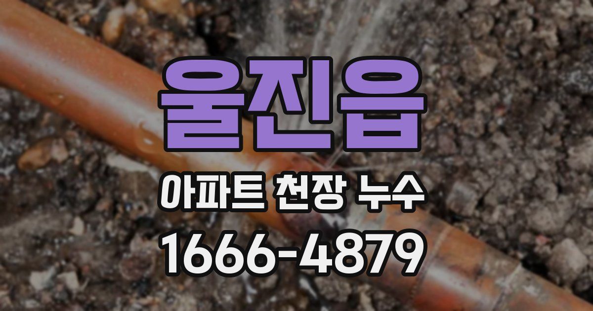 울진읍 아파트 천장 누수