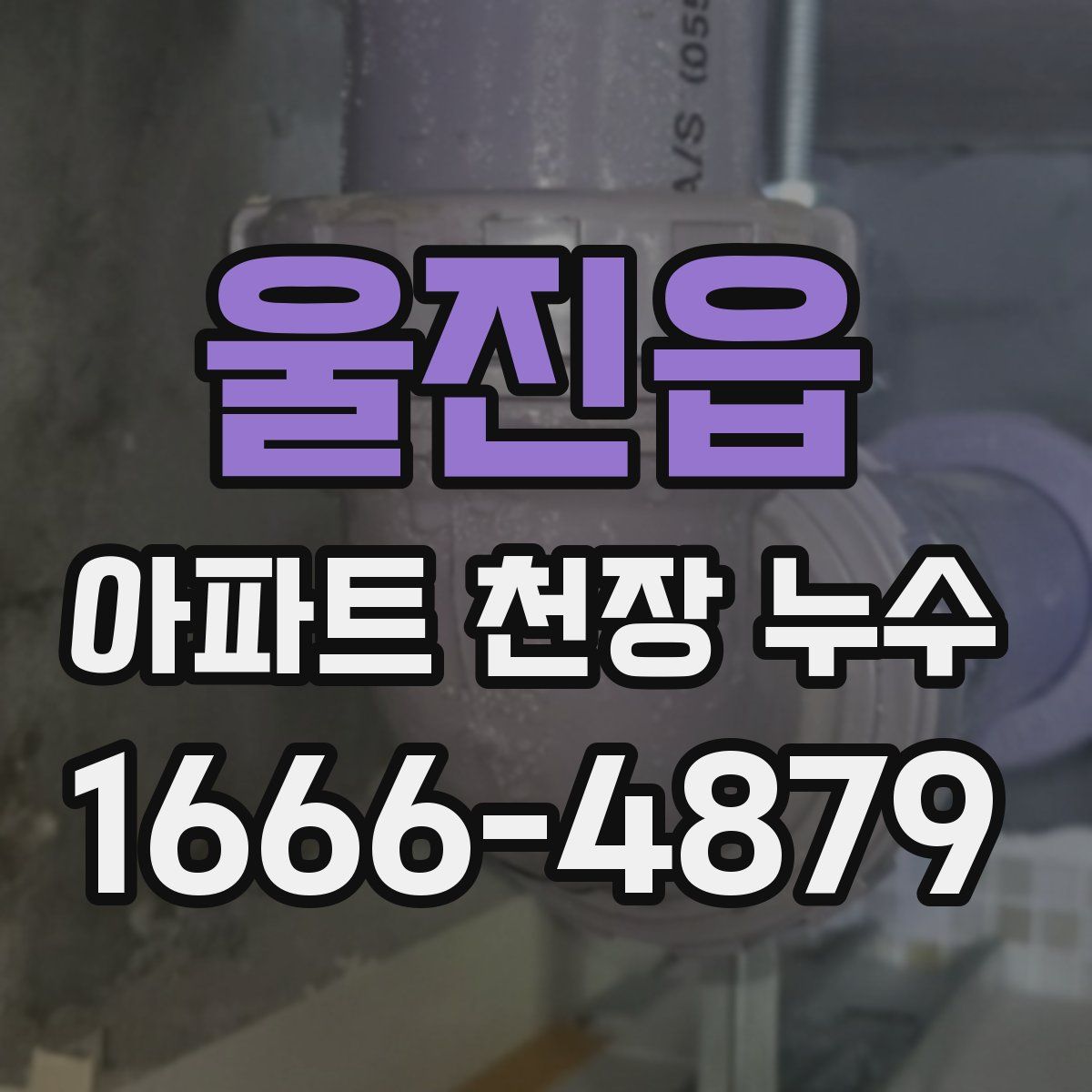 울진읍 아파트 천장 누수