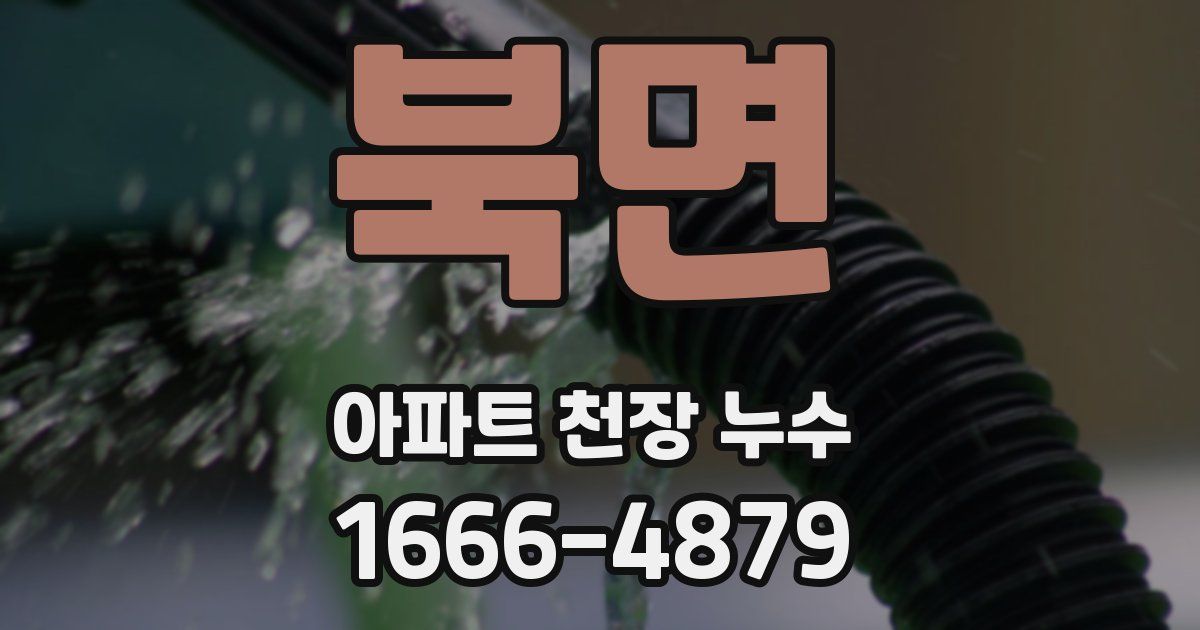 북면 아파트 천장 누수