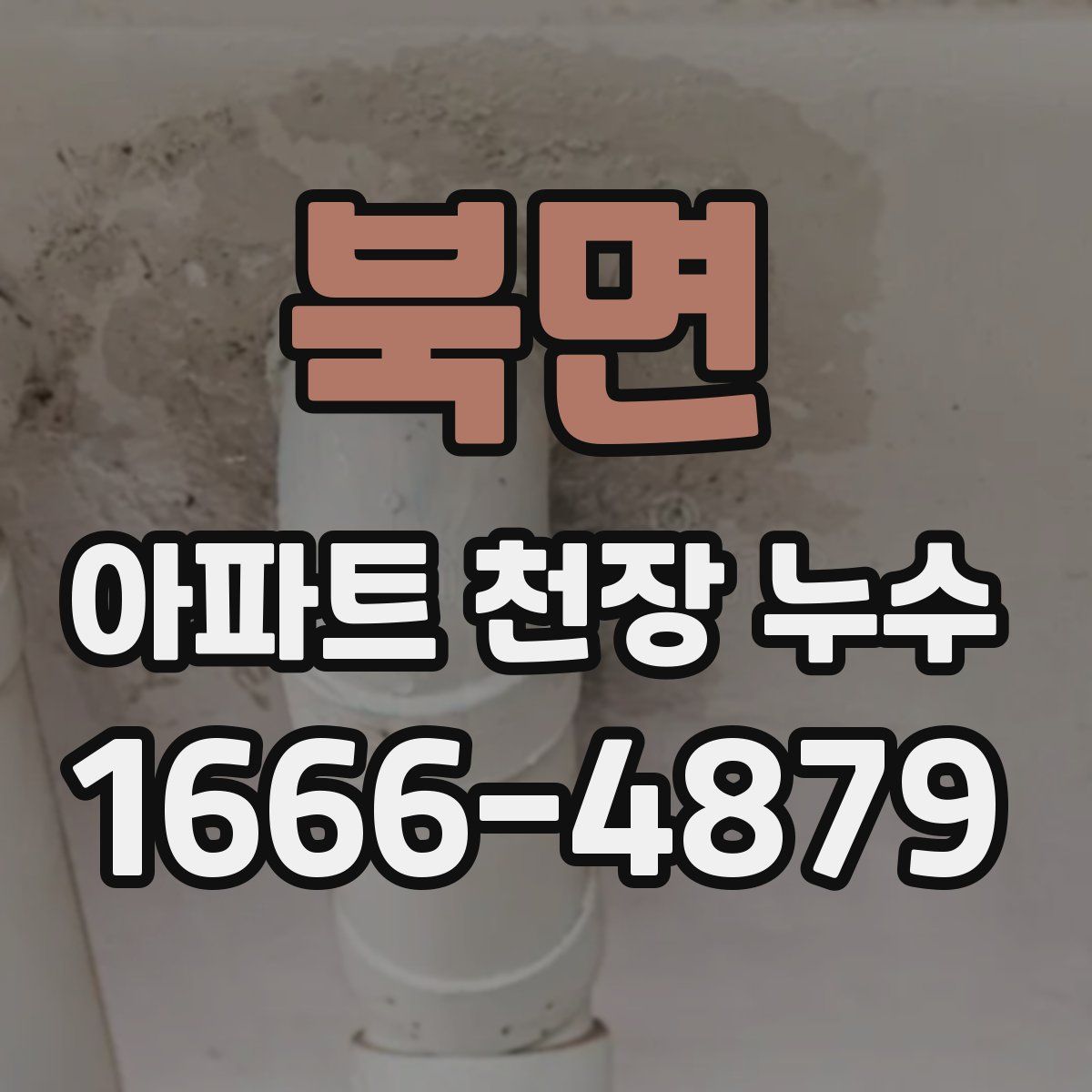 북면 아파트 천장 누수