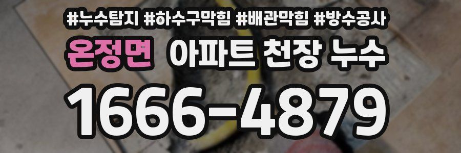 온정면 아파트 천장 누수