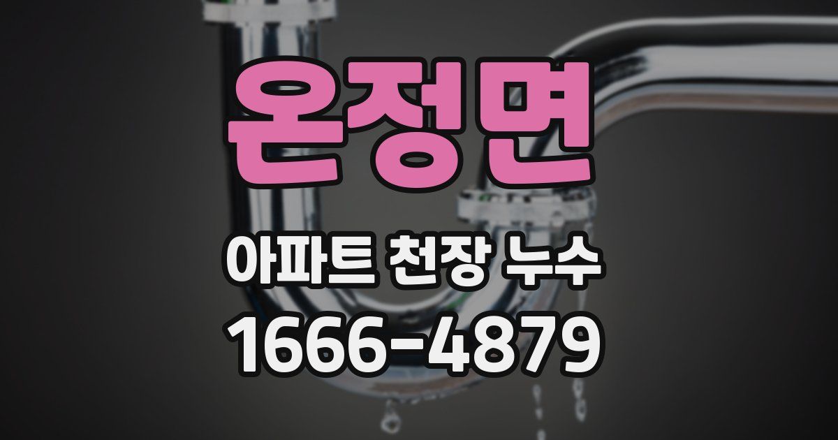 온정면 아파트 천장 누수