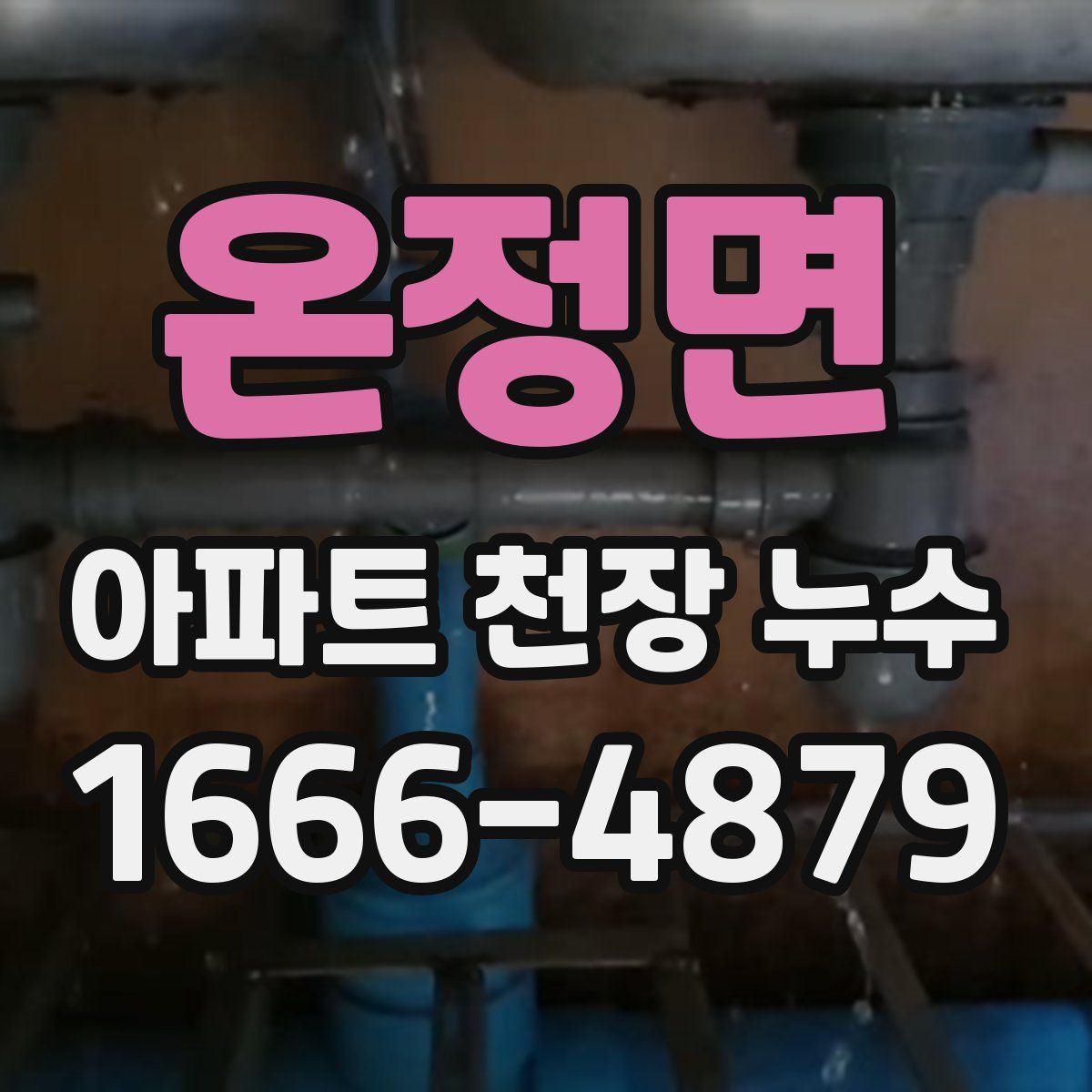 온정면 아파트 천장 누수