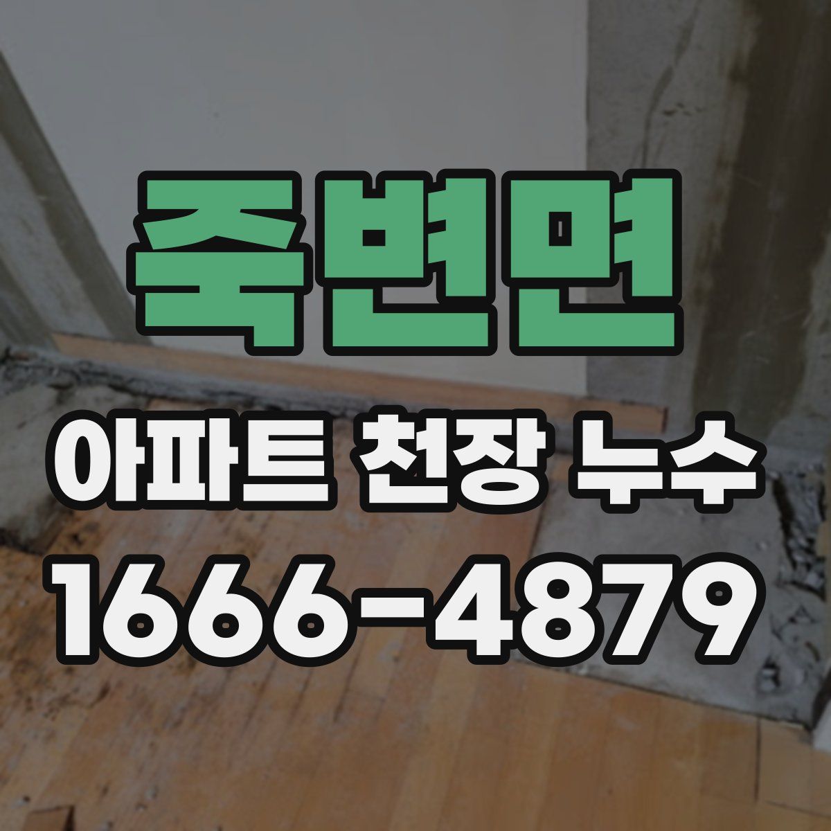 죽변면 아파트 천장 누수