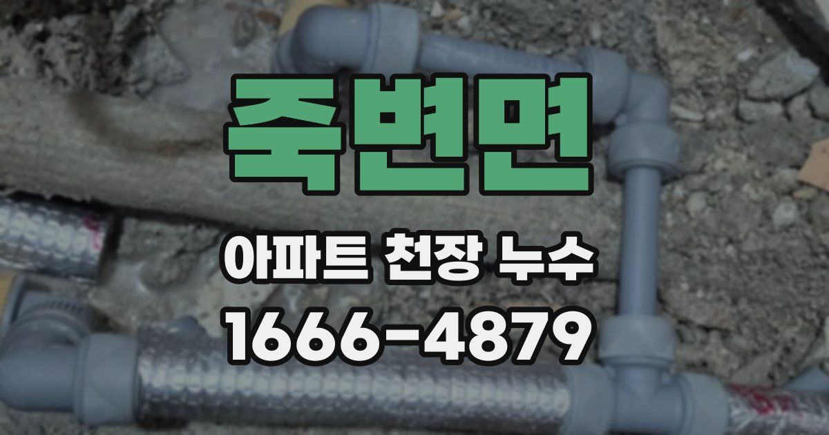죽변면 아파트 천장 누수