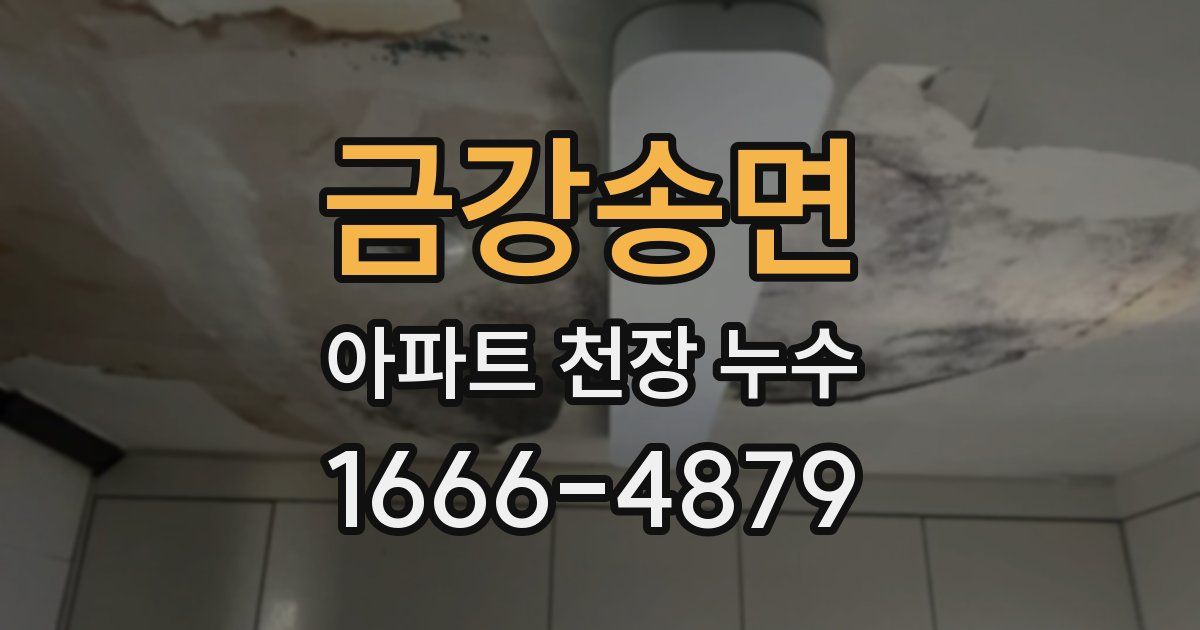 금강송면 아파트 천장 누수
