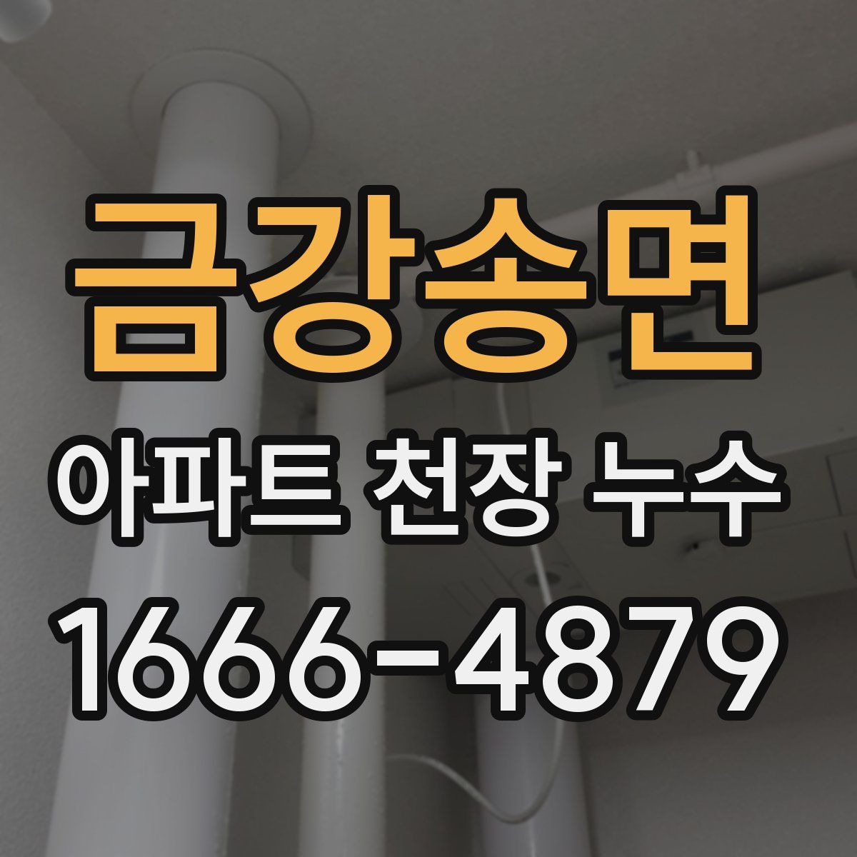 금강송면 아파트 천장 누수
