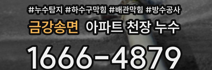 금강송면 아파트 천장 누수
