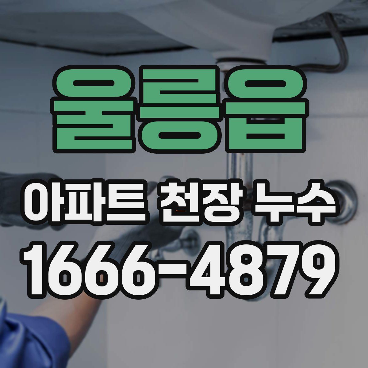 울릉읍 아파트 천장 누수