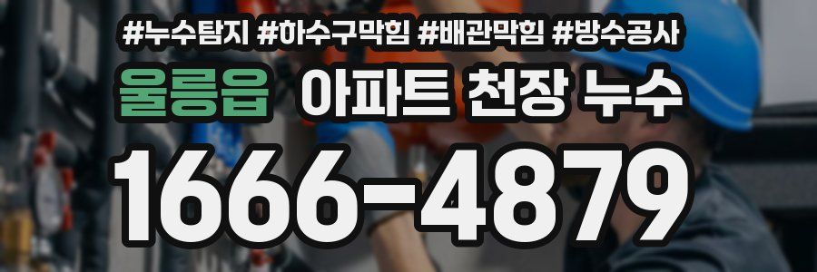 울릉읍 아파트 천장 누수