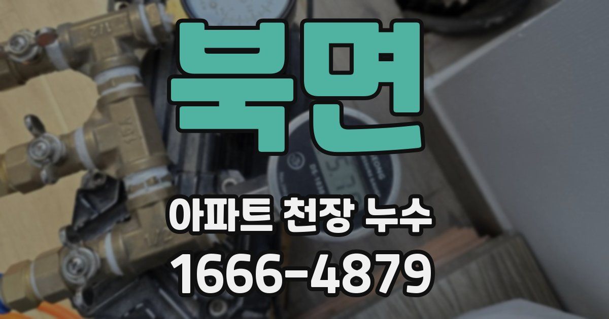 북면 아파트 천장 누수