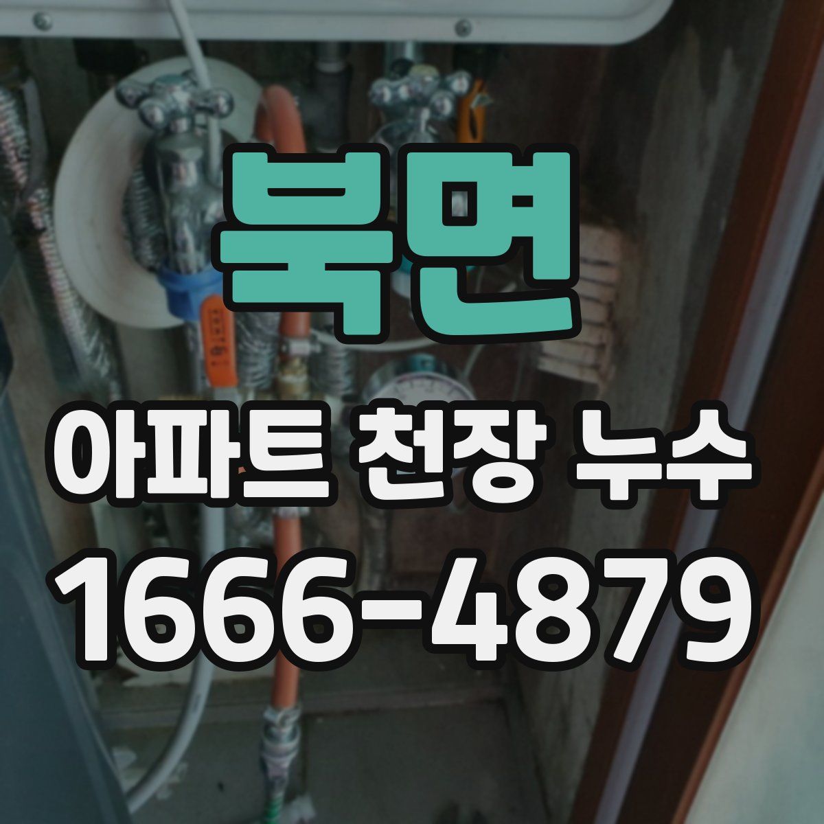 북면 아파트 천장 누수